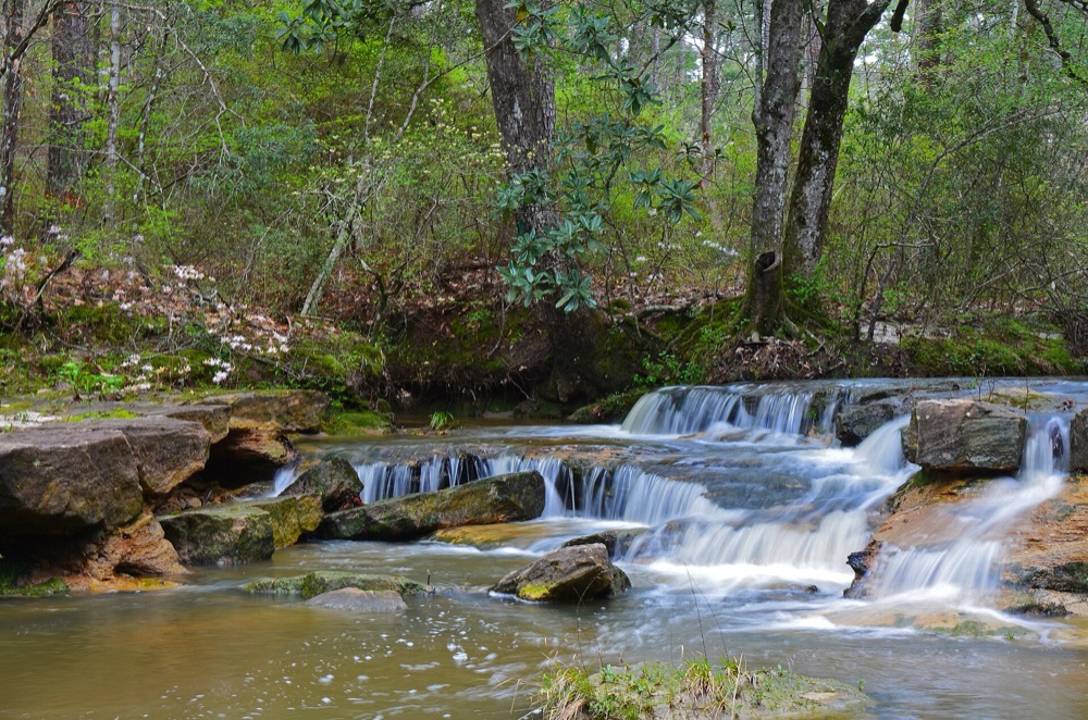 Water running over sandstone ledges at Kisatchie Falls
